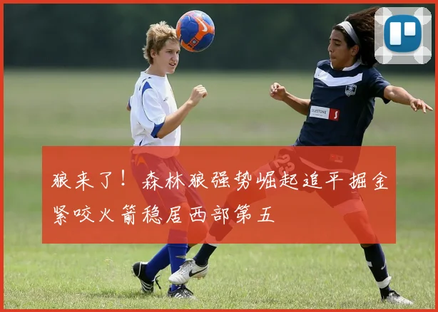狼来了！森林狼强势崛起追平掘金紧咬火箭稳居西部第五