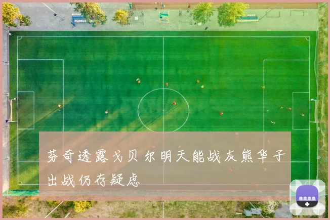 芬奇透露戈贝尔明天能战灰熊华子出战仍存疑虑