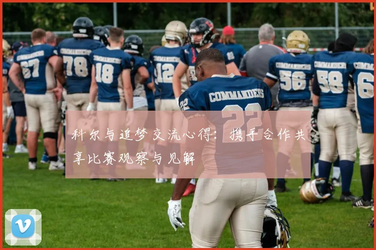 科尔与追梦交流心得：携手合作共享比赛观察与见解