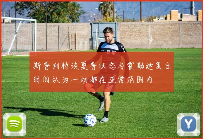 斯普利特谈夏普状态与霍勒迪复出时间认为一切都在正常范围内