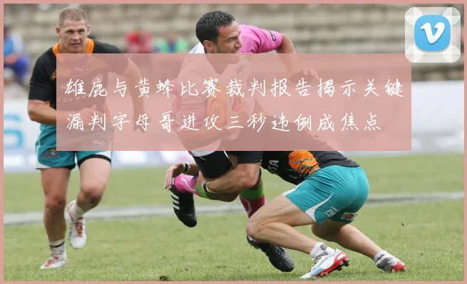 雄鹿与黄蜂比赛裁判报告揭示关键漏判字母哥进攻三秒违例成焦点