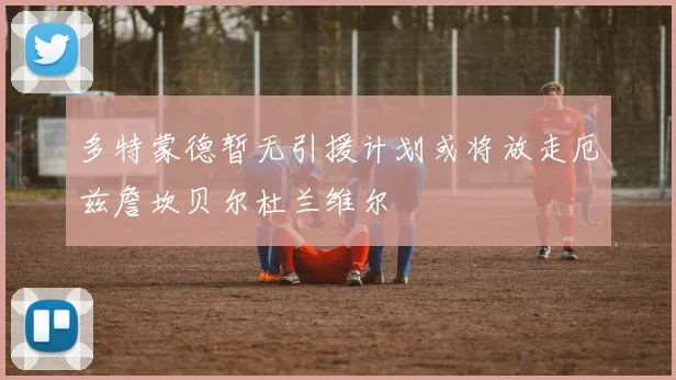 多特蒙德暂无引援计划或将放走厄兹詹坎贝尔杜兰维尔
