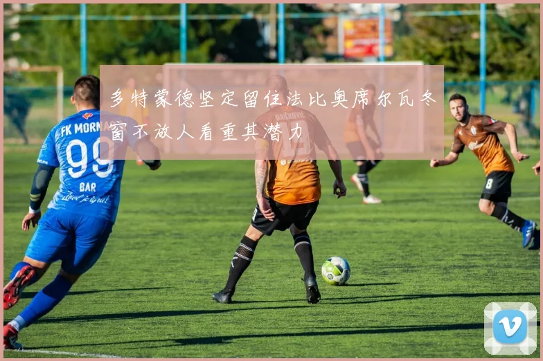 多特蒙德坚定留住法比奥席尔瓦冬窗不放人看重其潜力