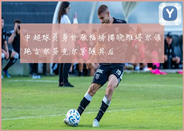 中超球员身价涨幅榜揭晓维塔尔领跑古尔芬克尔紧随其后