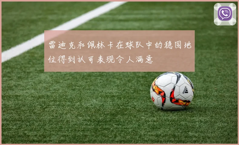 雷迪克和佩林卡在球队中的稳固地位得到认可表现令人满意