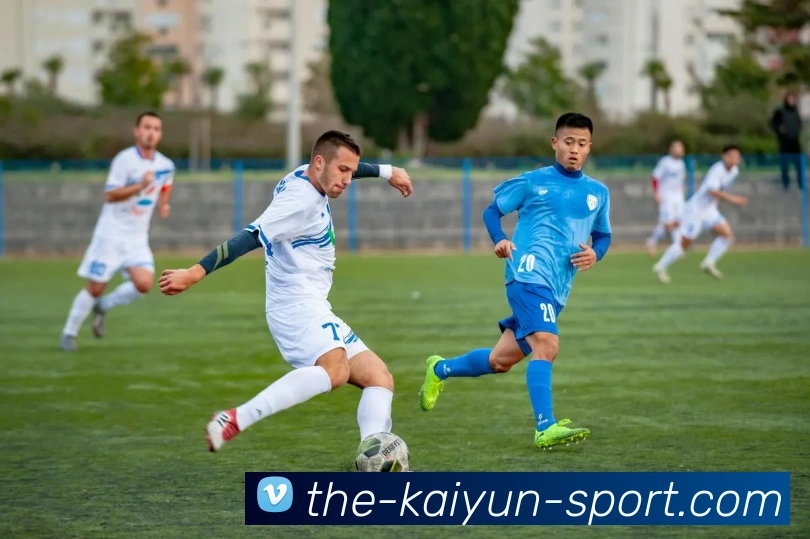 开云体育服务体系